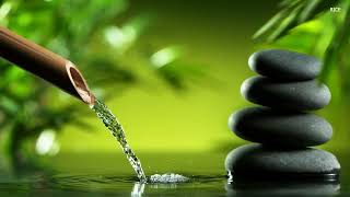 You Deserve Peace - Music for the Soul | Water Sounds for Stress Relief, Anxiety