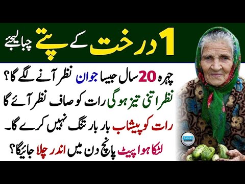 Urdu Islamic Quotes  | Rumi Quotes | Motivational Quotes | Deep Quotes About Life | aesthetic by 99