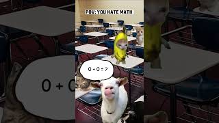 POV: You hate Math #funny #catmemes #maths #bananacat #happycats