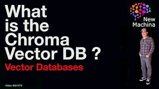 What is the Chroma Vector Database ?