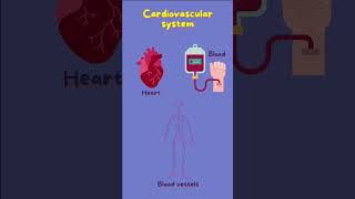 DIY Heart Rate Monitor #STEM #science #accessibleeducation #accessiblescience #biology