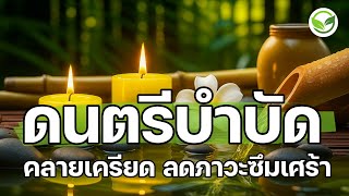 ดนตรีบำบัดความเครียด ดนตรีผ่อนคลายสมอง ดนตรีฟื้นฟูจิตใจ ลดภาวะซึมเศร้า คลายเครียดสะสม relaxing music