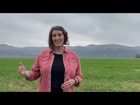A Message to the President