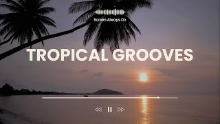 Tropical Grooves | Rhythms of a Sunlit Paradise