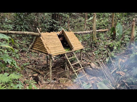 I built a tree house which is a reliable way to survive in the forest