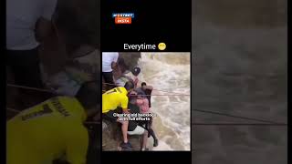 coding memes,Anyone can relate ,devoloper memes #bug #codinglife #codingbasics #funnyvideo