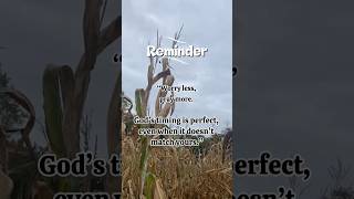 Jesus never fails #trustgodsplan #trustingod #christianmotivation