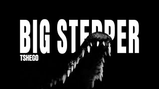 Tshego – BIG STEPPER [ Official lyrics video]