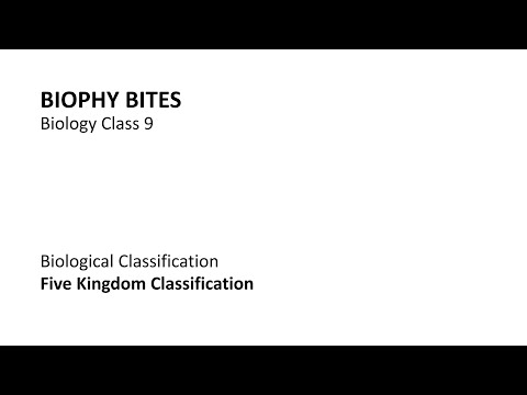 Biology Class 9 - Five Kingdom Classification