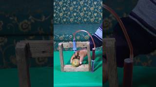 School Science projects easy #shorts #experiment #diy
