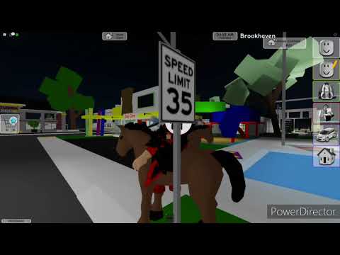 Playing Brookhaven with my friend!