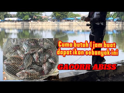 Mancing jaring lingkar atau jaring hula hula cukup 1 jam di pingiran kota JAKARTA