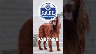 Hiring Groomers Layton  #caninehealth #doglover #petcareservices #grooming