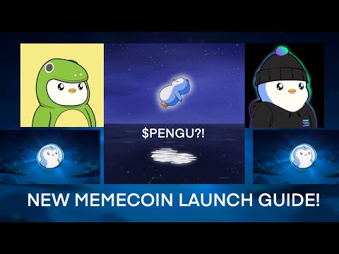How to Approach Popular Memecoin Launches (Solana Memecoin Beginners Guide)