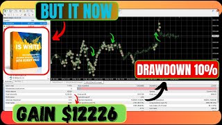 Scalper + Trend Trader in One? Meet IS White EA v2.0!