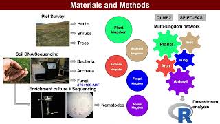 iMeta | Fungi stabilize multi-kingdom community in a high elevation timberline ecosystem