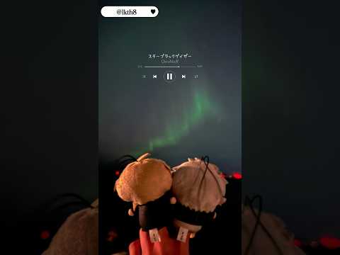 Went to See the Aurora with My Oshi! 🌌✨ ChroNoiR Fan Adventure #ChroNoiR #Aurora #OshiLife