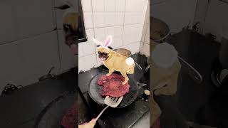dog 🐶 dancing on food 🥘😁🤩 #crazily #funny #dogshorts #doglife #dogshorts #dogvideos #dogs #cartoon