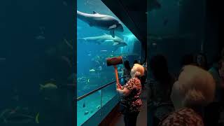 Can You Survive This? Glass & Aquarium Cracked! 🤯#MindHacker #AIIllusions #ViralShorts