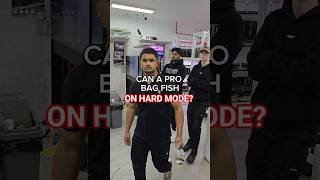 Expert fish bagging at an aquarium #fishkeeping #aquariumhobby #behindthescene