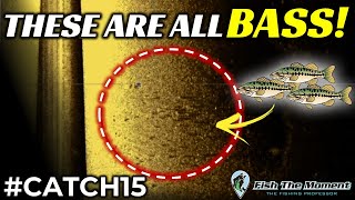 98% Of Anglers Are Missing These Fall Bass Right Now | #Catch15 Challenge