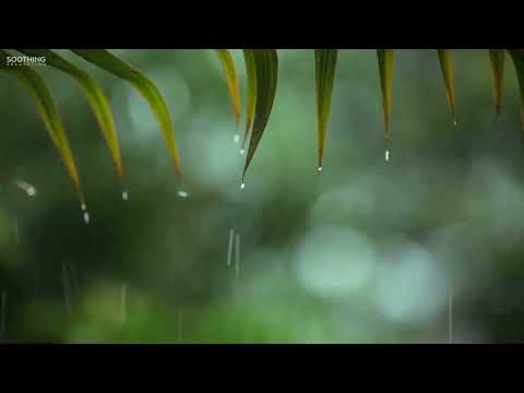 Relaxing Music & Rain Sounds - Beautiful Piano Music, Background Music, Sleep Music  You & Me