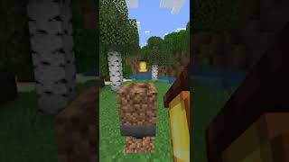 I bet YOU didn't know of this Bedrock & Java difference #shorts