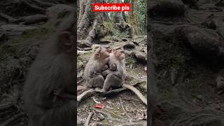 Father and mother protect their family|family bonding|#shorts #kodaikanal#familybonding