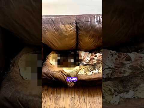 Lacey Fletcher: The Woman Who Melted Into A Couch #truecrime #shorts