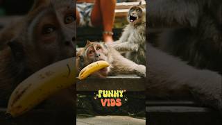 #Hilarious AI CLIPS YOU WON'T BELIEVE CAME FROM 2025!