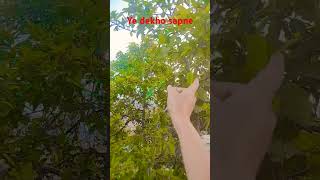 #comedyye dekho sapne mere #song #bollywood #singer #music #arijitsingh
