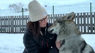Nazgul the dog goes viral at the Winter Olympics