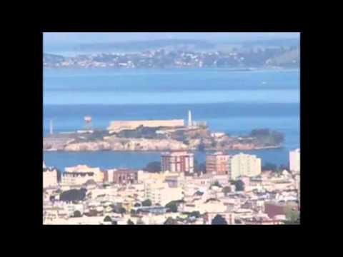 San Francisco City Tour |Alcatraz Island | Muir Woods Park |SF Bay Cruise| Night Tour