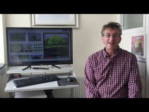Mr  Steve's Testimonial - Fabulous Branding Agency