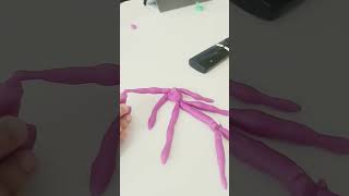 stop motion2