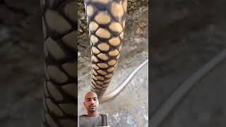 Top Learning Tools for Tech Enthusiasts#shorts #shortsfeed #viralshorts