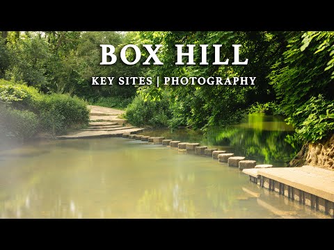 Exploring Box Hill, Surrey | Stepping Stones, Footbridge & Yew Woods