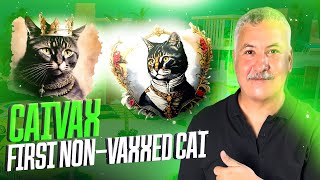 Catvax - Offering the 1st non vaxxed cat  ©