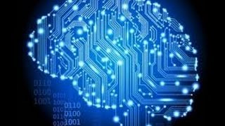 How does the internet compare to a newborn's brain?