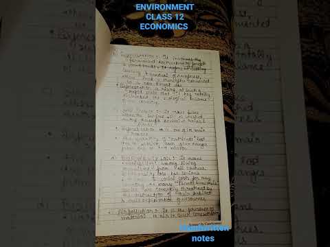 ENVIRONMENT || CLASS 12 || ECONOMICS || HANDWRITTEN NOTES