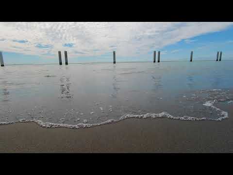 Richmond BC WAVES