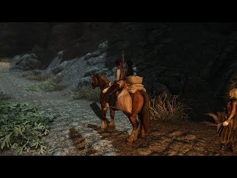 Skyrim SE Pinnacle Reality  ENB Bear Fight