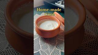 How to make Dahi/ Curd ? #dahi #curd #curdrecipe #homemadedahi #yt #studentrecipes #ytfood #shorts
