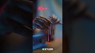 ഒരു Experiment കണ്ടാലോ ? | Xylem Class 6