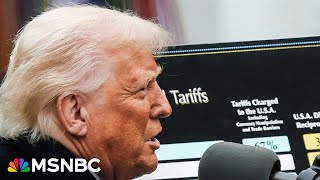Congress hasn't 'held back the king' while Trump takes powers that aren't his: Economist