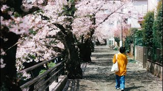 カーテンコール／短編映画『点』主題歌