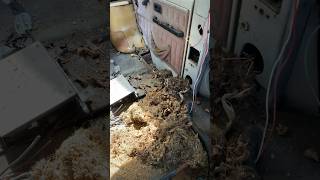 #rv #rvlife #vanlife #rvliving #vanlifeconversion #rvrepair #vanbuild #diy #fyp #fypシ #camper #diy