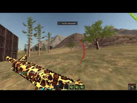 legacy arena dm 2025