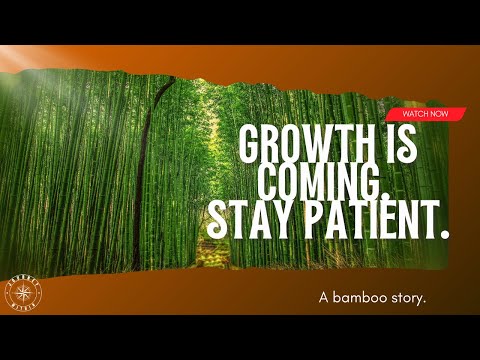 The Bamboo Tree Lesson: Grow in Silence, Rise in Time