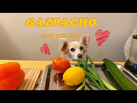 Chef Coco Makes Gazpacho Soup!